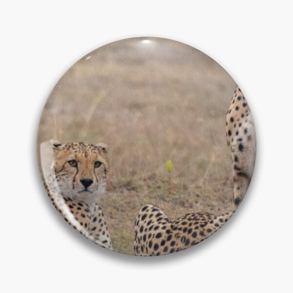 Item preview, Carnivorous Cheetahs designed and sold by annenambiro.