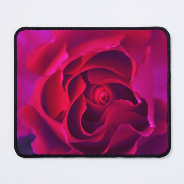 Item preview, Red rose in a purple hue designed and sold by Layla Reim.