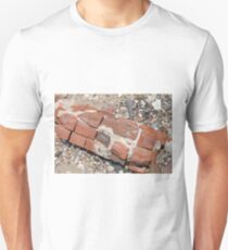 Brickwork, Nature, Mother Earth, Environment, Wildlife, Flora, Kind, Grain, Park Unisex T-Shirt