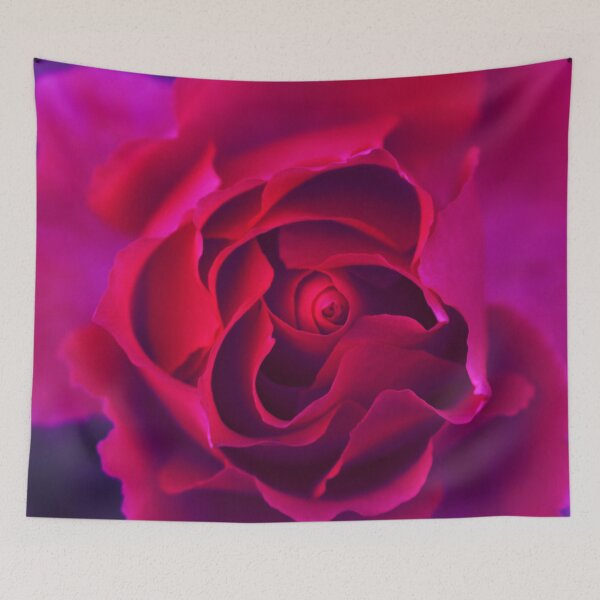 Item preview, Red rose in a purple hue designed and sold by Layla Reim.