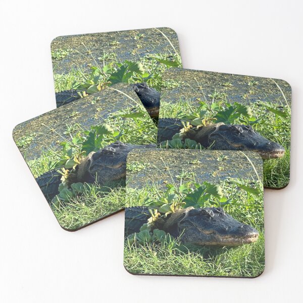 Item preview, Florida Gator- Up Close and Personal! designed and sold by NatureBoy65.