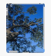 Vinilo o funda para iPad Árbol