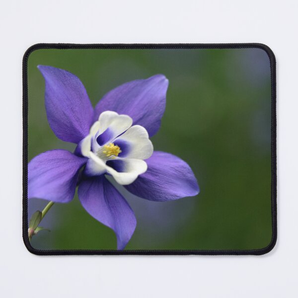 Item preview, Aquilegia Flower designed and sold by clint hudson.