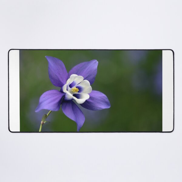 Item preview, Aquilegia Flower designed and sold by clint hudson.