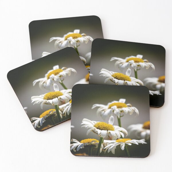Item preview, Wilted designed and sold by Tim Dusenberry.