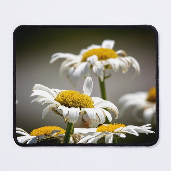 Item preview, Wilted designed and sold by Tim Dusenberry.