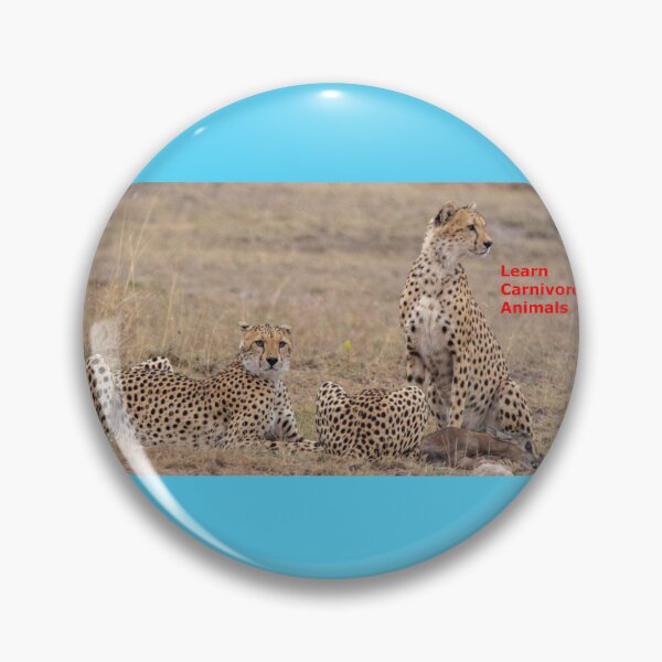 Item preview, Carnivorous Cheetahs and their victim of preying designed and sold by annenambiro.