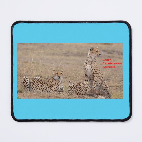 Item preview, Carnivorous Cheetahs and their victim of preying designed and sold by annenambiro.
