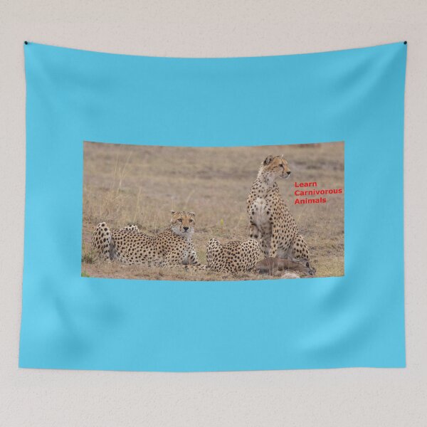 Item preview, Carnivorous Cheetahs and their victim of preying designed and sold by annenambiro.