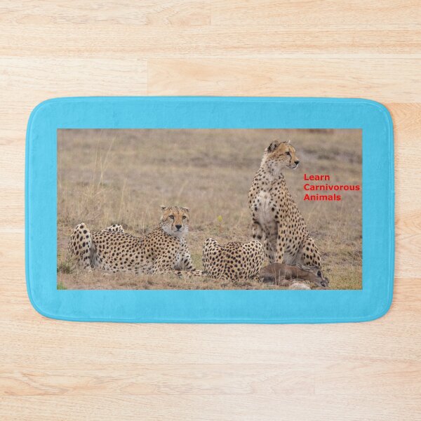 Item preview, Carnivorous Cheetahs and their victim of preying designed and sold by annenambiro.