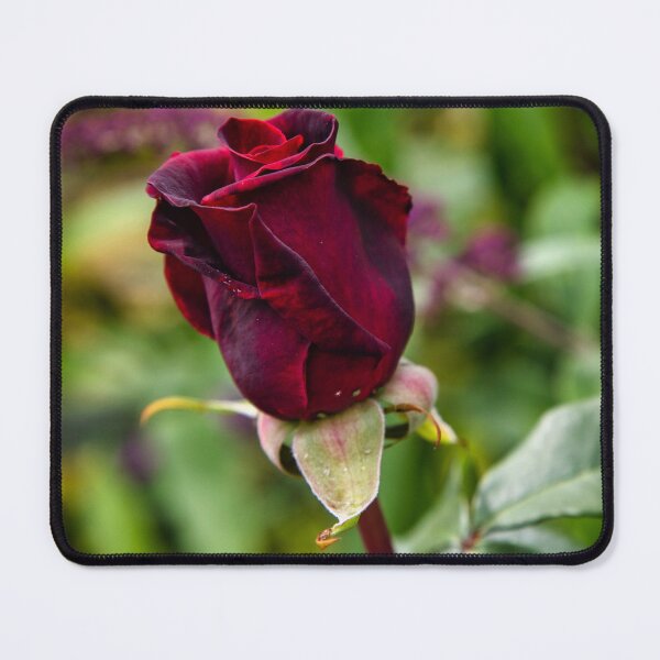 Item preview, Red rose designed and sold by jasminewang.