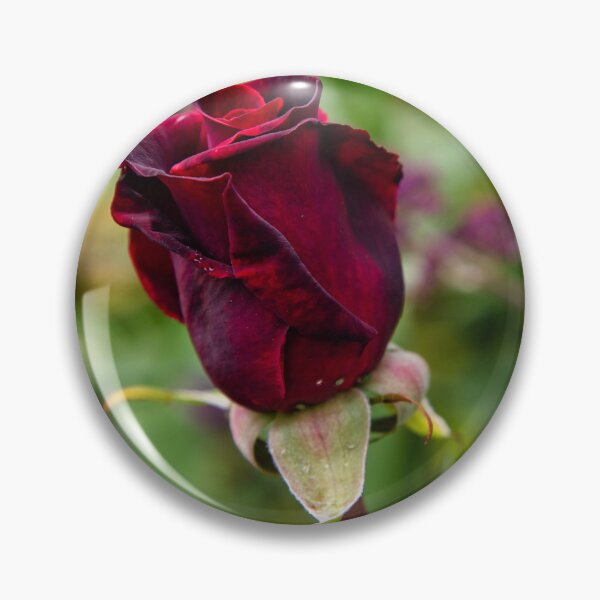 Item preview, Red rose designed and sold by jasminewang.
