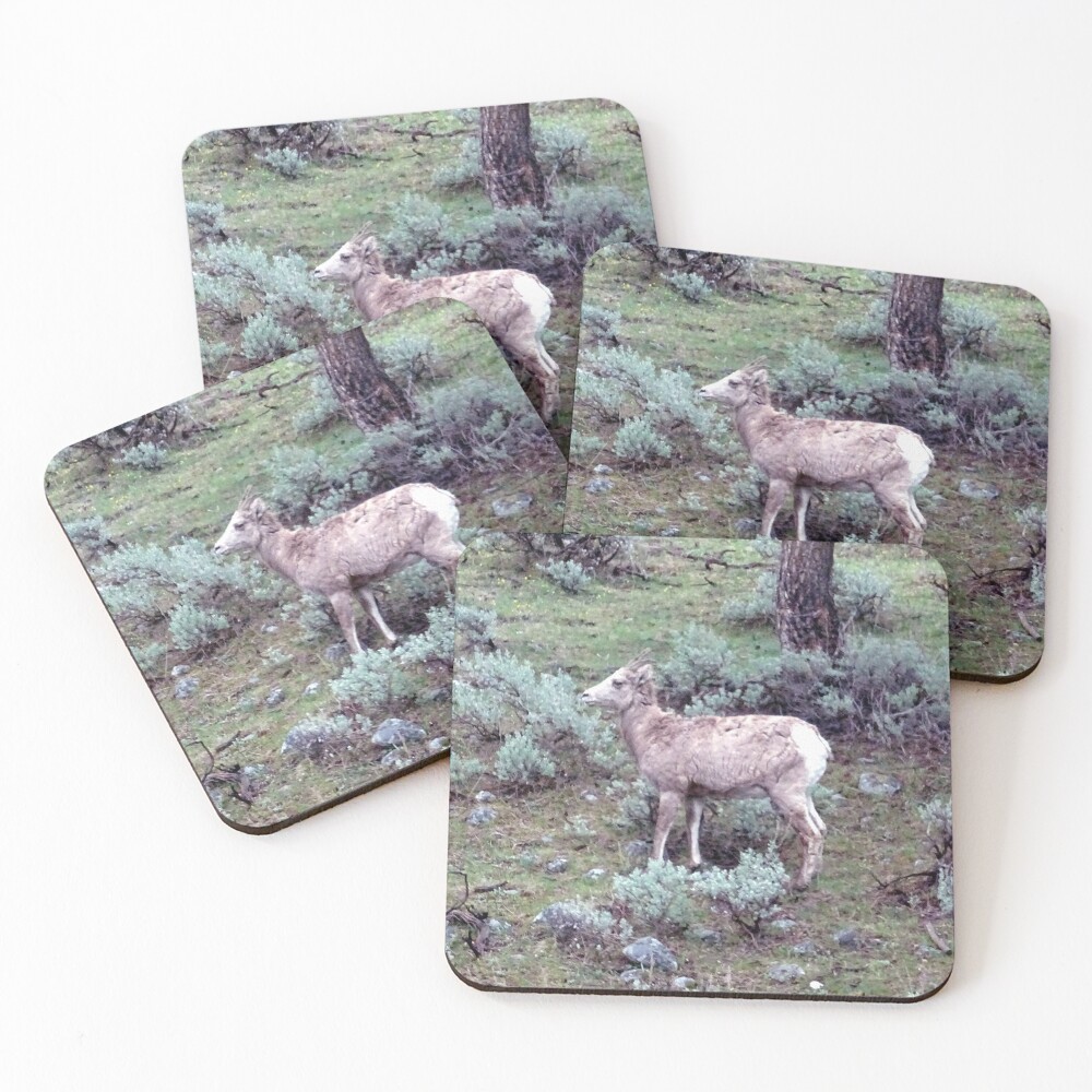 Item preview, Coasters (Set of 4) designed and sold by Rorymacve.