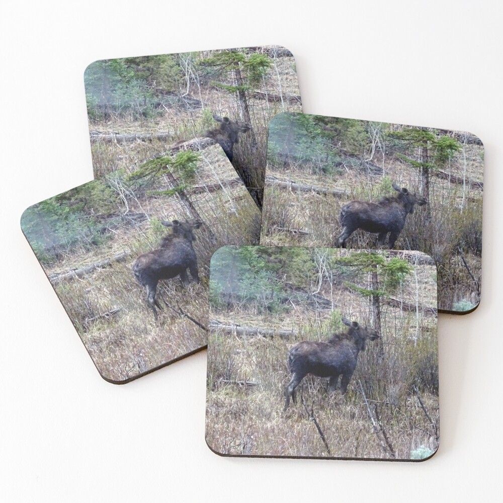 Item preview, Coasters (Set of 4) designed and sold by Rorymacve.