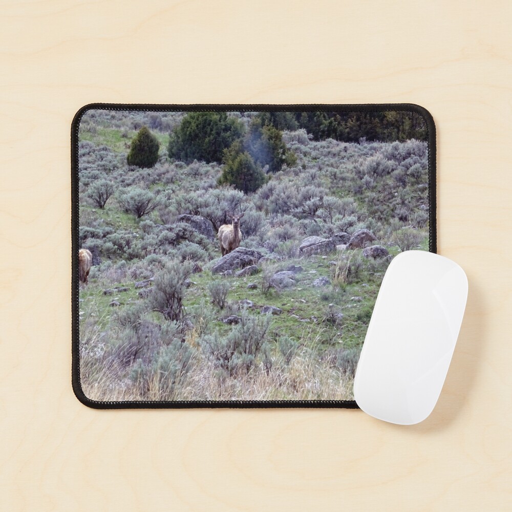 Item preview, Mouse Pad designed and sold by Rorymacve.