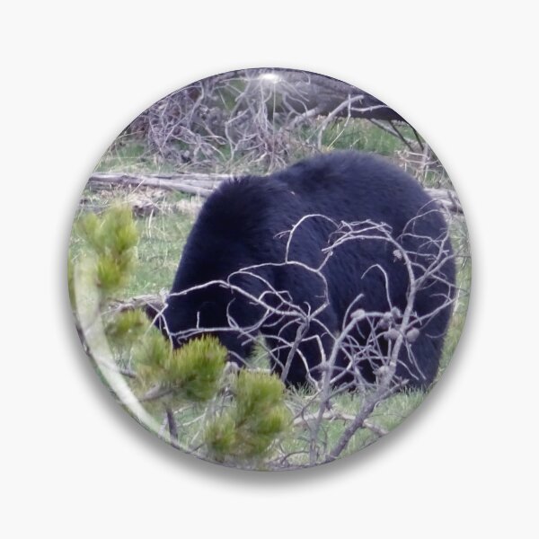 Item preview, Black Bear Back designed and sold by Rorymacve.
