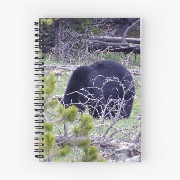 Item preview, Black Bear Back designed and sold by Rorymacve.