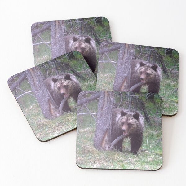 Item preview, The Grizzly designed and sold by Rorymacve.