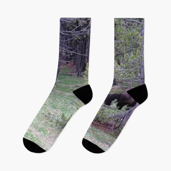 Item preview, Forest Fear designed and sold by Rorymacve.