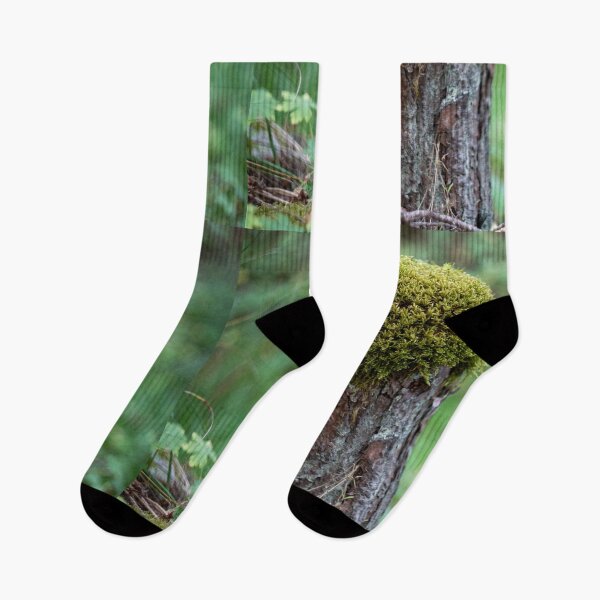 Item preview, national park Samokov Bulgaria designed and sold by oleg gendel.