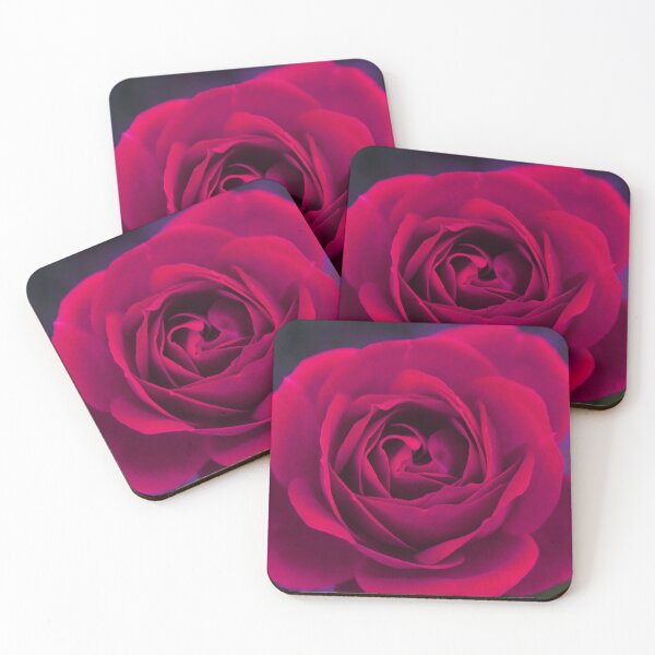 Item preview, A red rose in full bloom with purple background designed and sold by Layla Reim.