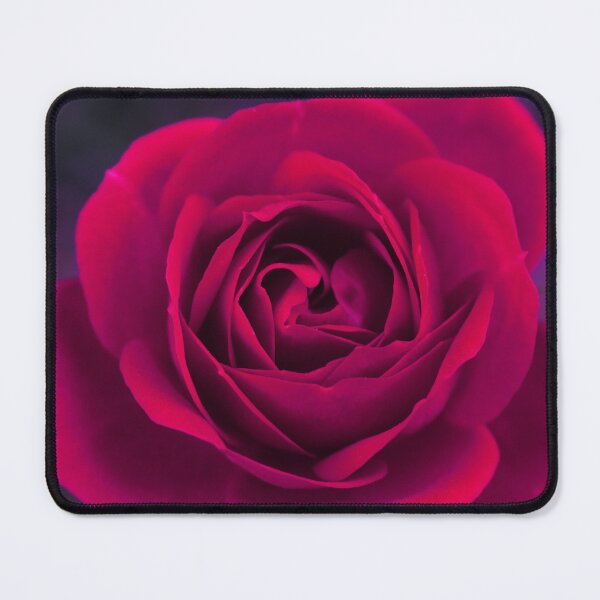 Item preview, A red rose in full bloom with purple background designed and sold by Layla Reim.