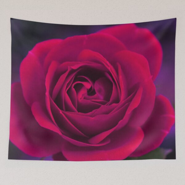 Item preview, A red rose in full bloom with purple background designed and sold by Layla Reim.