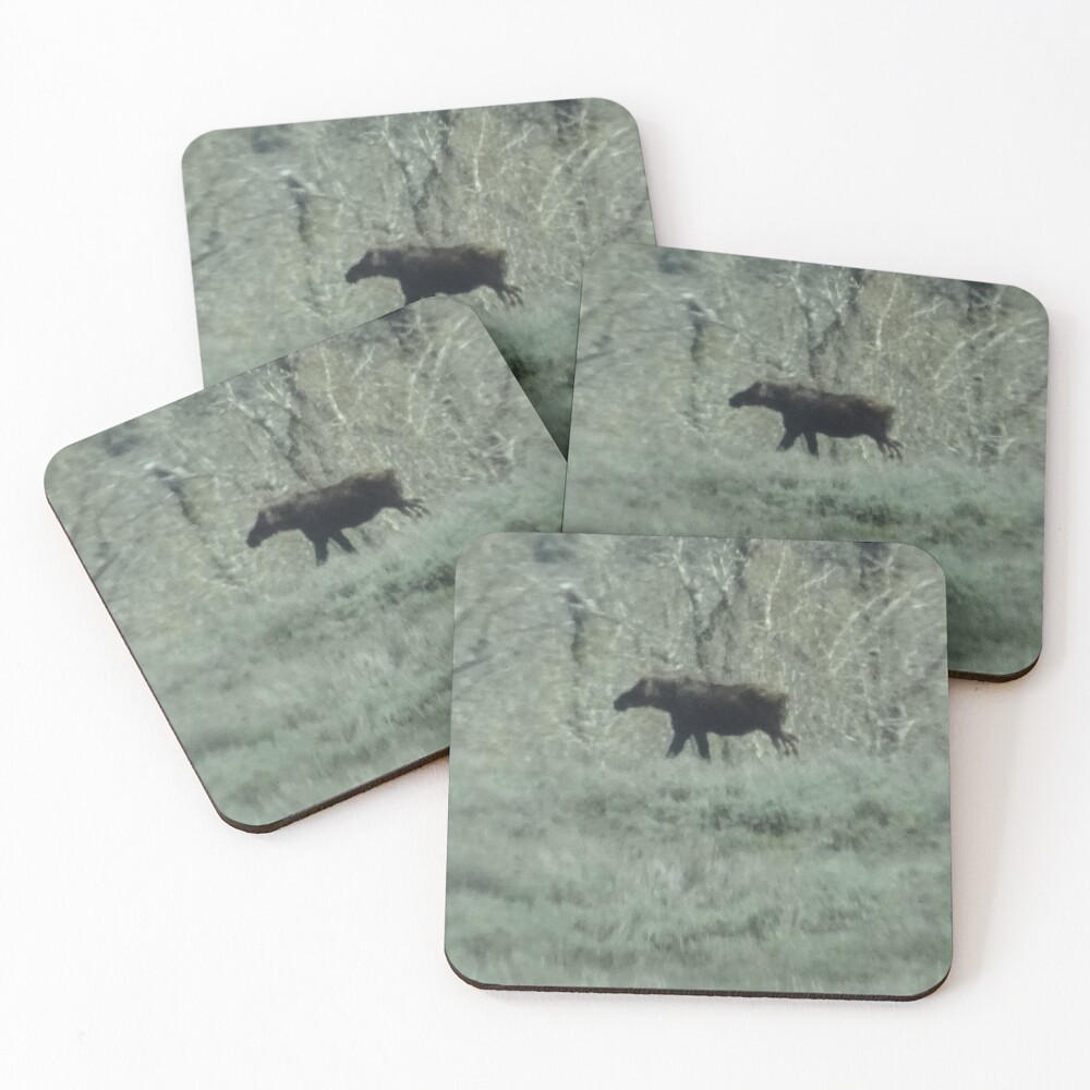 Item preview, Coasters (Set of 4) designed and sold by Rorymacve.