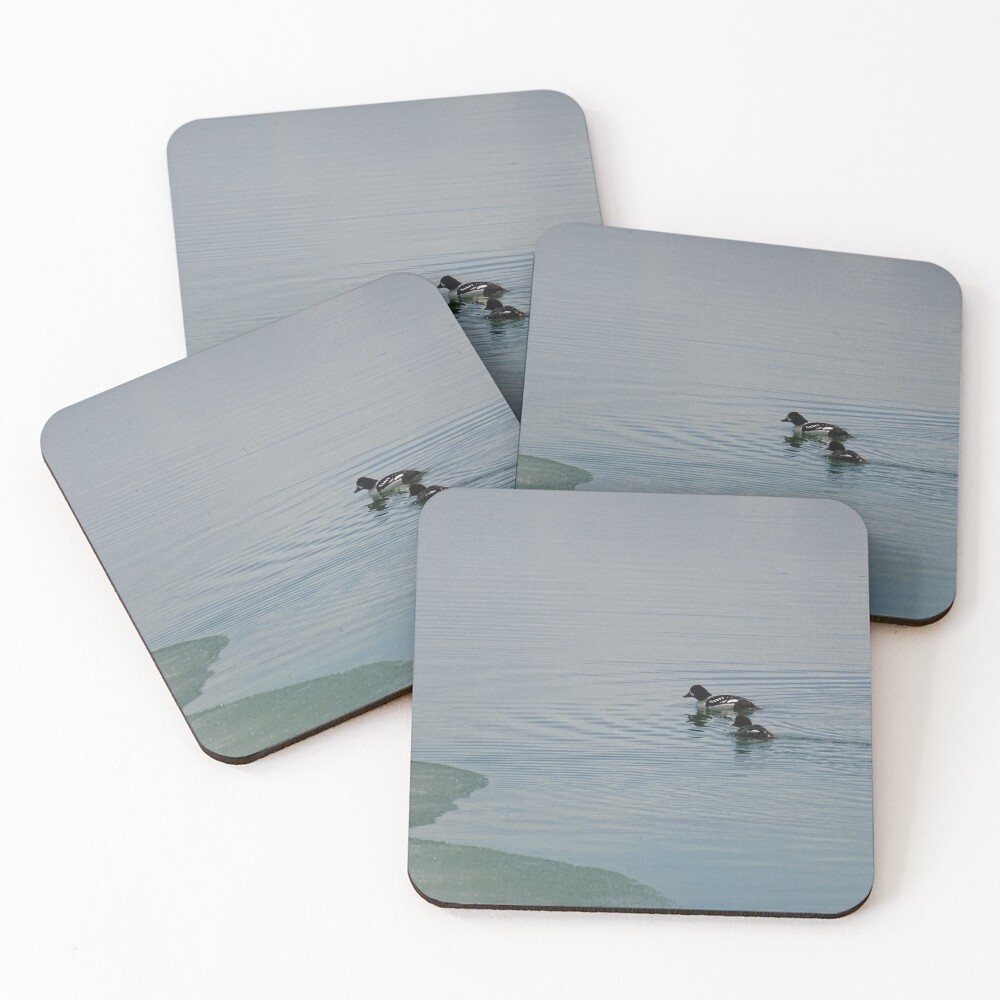 Item preview, Coasters (Set of 4) designed and sold by Rorymacve.