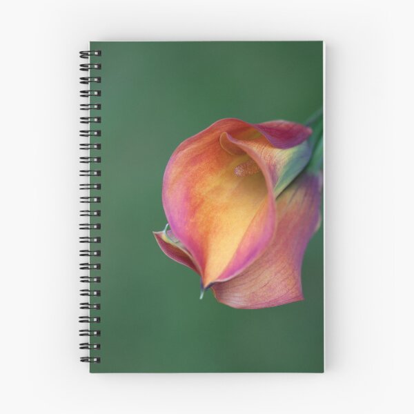Item preview, Calla Lilies designed and sold by clint hudson.