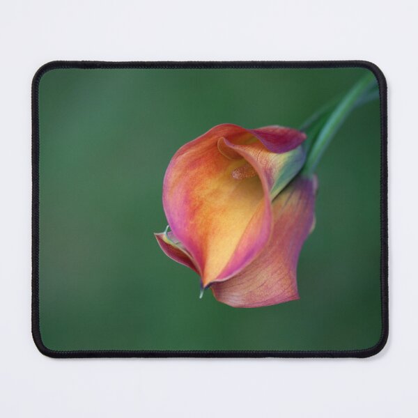 Item preview, Calla Lilies designed and sold by clint hudson.