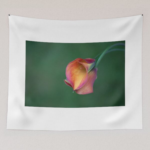 Item preview, Calla Lilies designed and sold by clint hudson.