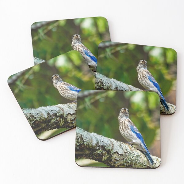 Item preview, Female Eastern Bluebird Portrait designed and sold by Kay Brewer.