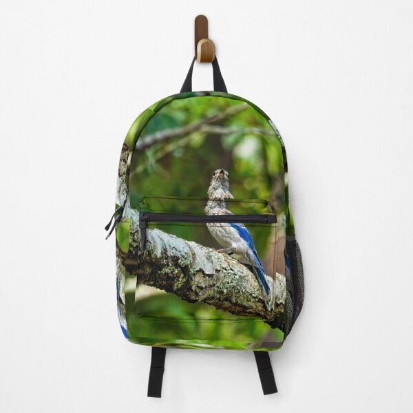 Item preview, Female Eastern Bluebird Portrait designed and sold by Kay Brewer.
