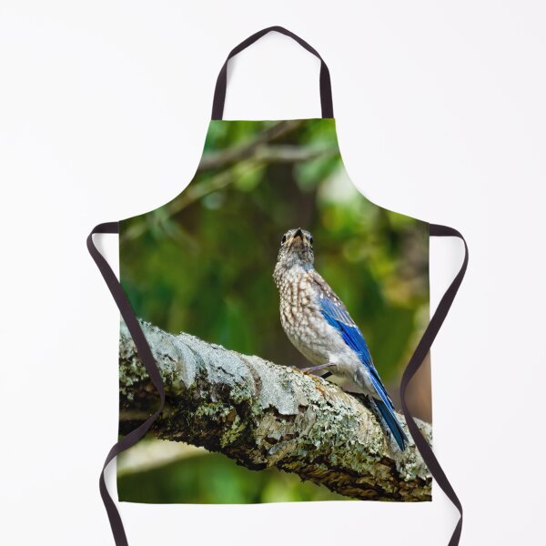 Item preview, Female Eastern Bluebird Portrait designed and sold by Kay Brewer.