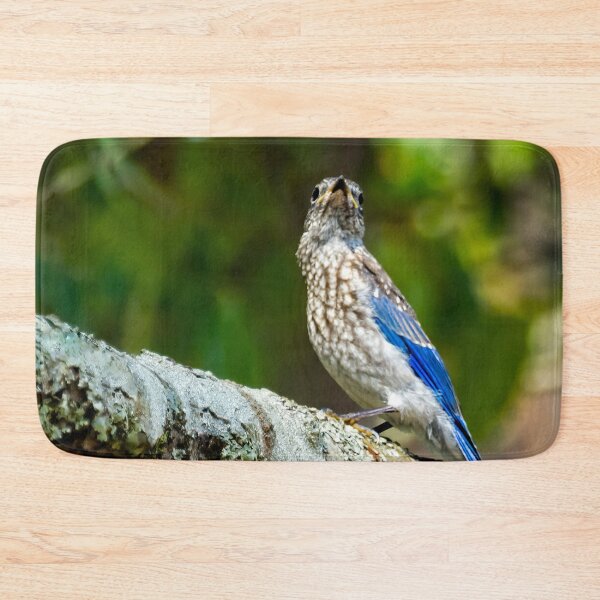 Item preview, Female Eastern Bluebird Portrait designed and sold by Kay Brewer.