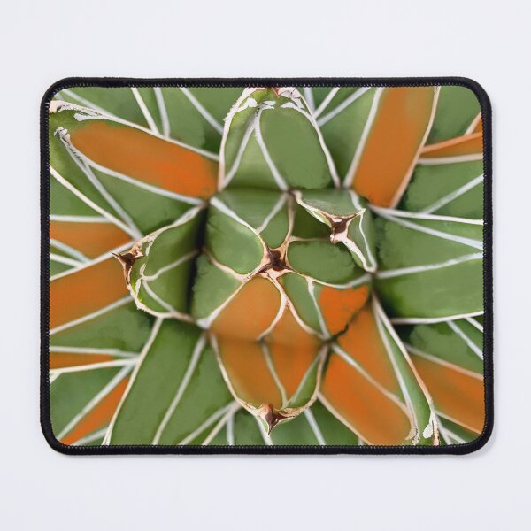 Item preview, Agave Attenuata designed and sold by OxeLiveHappier.