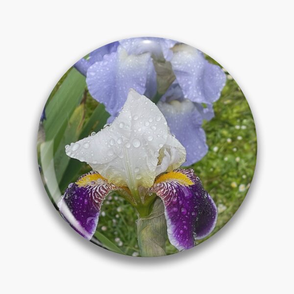 Item preview, Bearded Iris designed and sold by Alison Crowe.