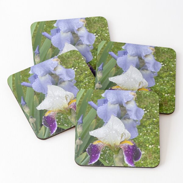 Item preview, Bearded Iris designed and sold by Alison Crowe.