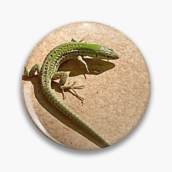 Item preview, Green Wall Lizard  designed and sold by Alison Crowe.