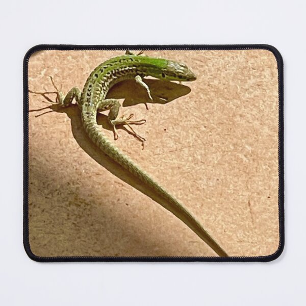 Item preview, Green Wall Lizard designed and sold by Alison Crowe.