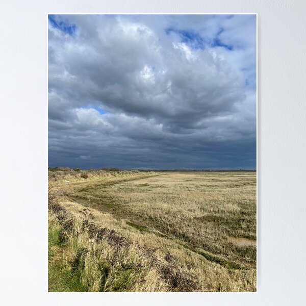 Item preview, Pagham nature reserve  designed and sold by Alison Crowe.