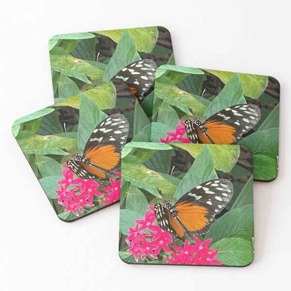 Item preview, Hecales Longwing butterfly designed and sold by Alison Crowe.