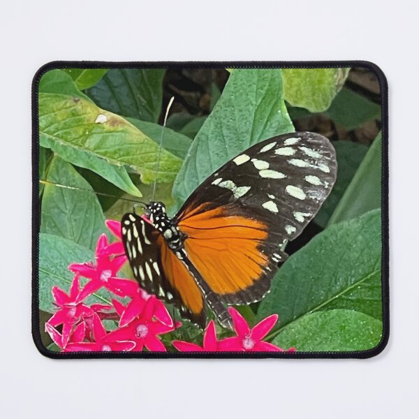 Item preview, Hecales Longwing butterfly designed and sold by Alison Crowe.