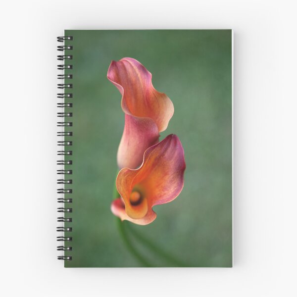 Item preview, Calla Lilies designed and sold by clint hudson.