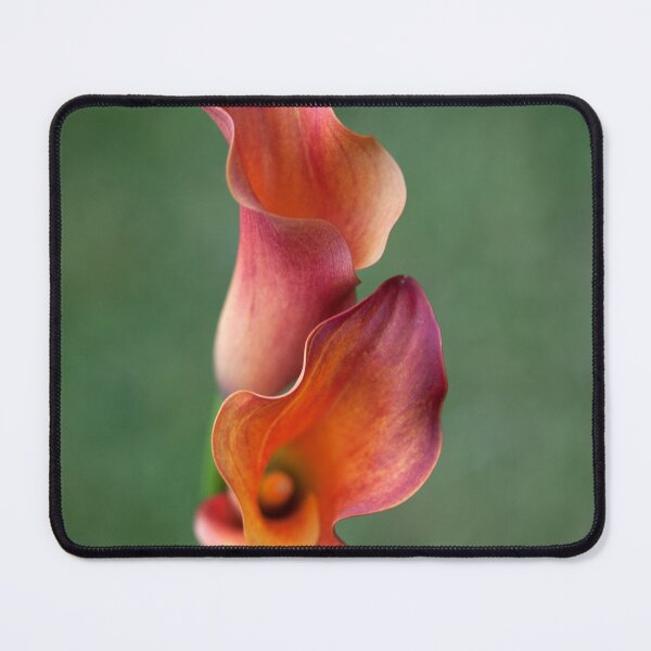Item preview, Calla Lilies designed and sold by clint hudson.