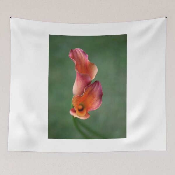Item preview, Calla Lilies designed and sold by clint hudson.