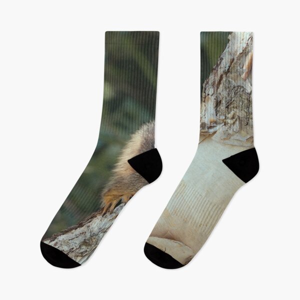 Item preview, Sunday brunch designed and sold by Joel Bader.