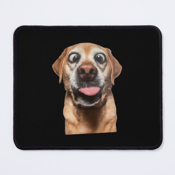 Item preview, Hilarious Dog Expressions & Behaviors designed and sold by hamishby.