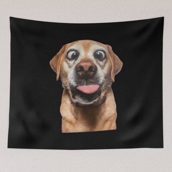 Item preview, Hilarious Dog Expressions & Behaviors designed and sold by hamishby.